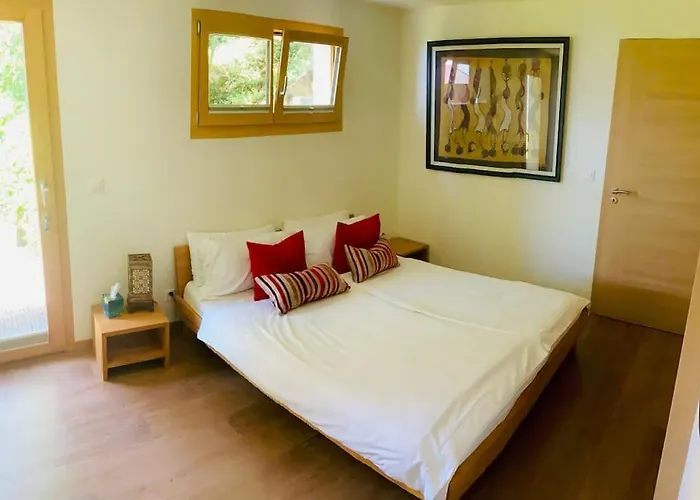 Apartment View Magnifique Leman -